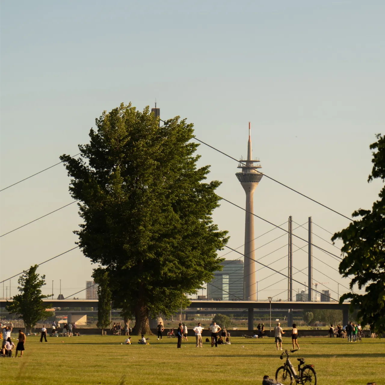 Photo de Düsseldorf, où ira le Dr Schlaudraff pour